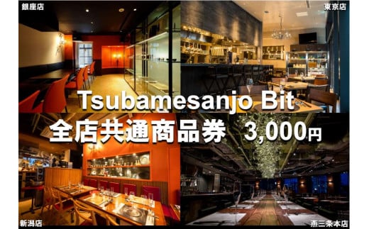 Tsubamesanjo Bit 商品券3,000円 FC010149 333307 - 新潟県燕市