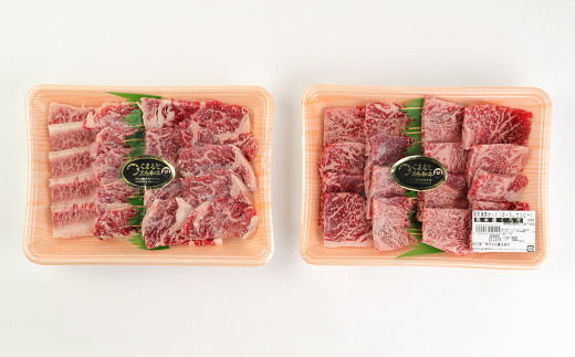くまもと黒毛和牛 焼肉 セット 計700g（350g×2種）カルビ ロース 国産 和牛 牛肉