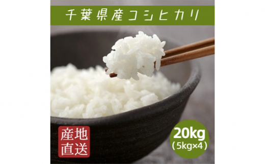 米/穀物千葉県産コシヒカリ白米20㎏ - 米/穀物
