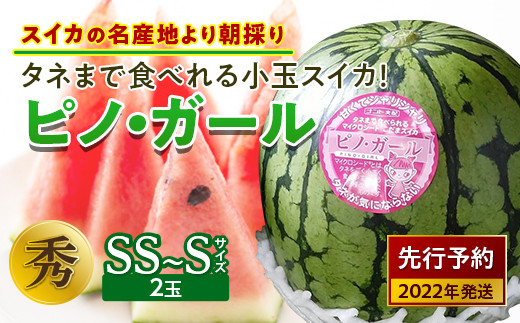 先行予約 タネまで食べれる小玉スイカ スイカの名産地より朝採り ピノ ガール F2y 2646 山形県 ふるさと納税 ふるさとチョイス