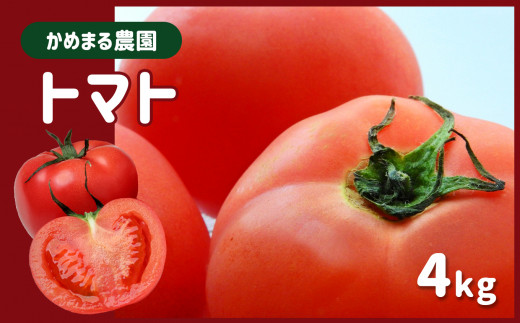 かめまる農園 トマト 4kg 333387 - 熊本県玉名市