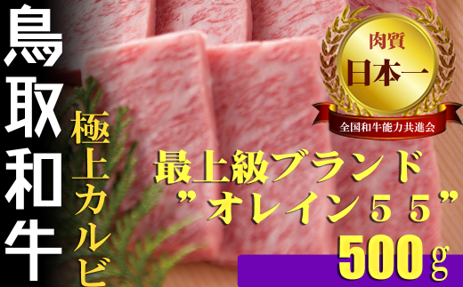 鳥取和牛 最上級Ａ５ランクオレイン５５ 極上カルビ　焼肉用（大） 約500ｇ 国産 牛肉 和牛 黒毛和牛 カルビ