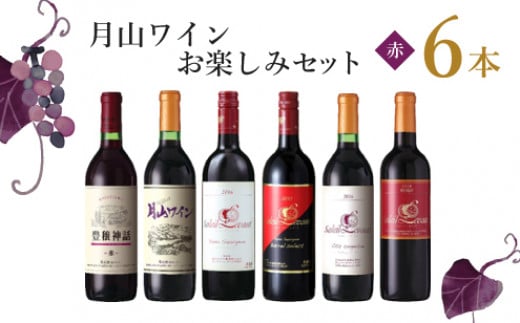 E15-201　月山ワイン　赤ワイン６本　お楽しみセット 330608 - 山形県鶴岡市
