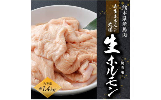 国産 馬肉 生ホルモン 焼肉用 (煮込みもOK) 約1.4kg 馬肉 冷凍 495530 - 熊本県高森町