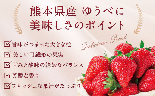 2024年2月上旬発送開始】熊本産 ゆうべに 250g×4パック 計1kg