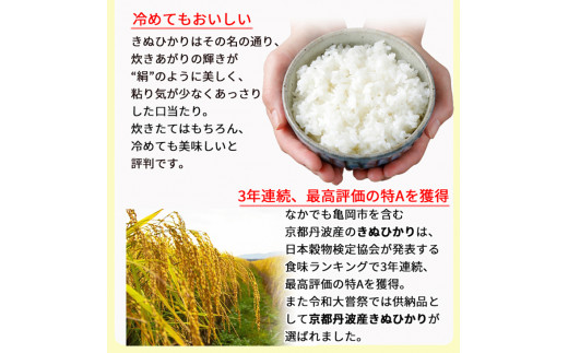 定期便 無洗米 10kg 3ヶ月 京都丹波産 キヌヒカリ 3回定期便 10kg