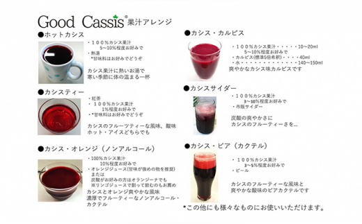 カシス果汁100％ジュース　Good Cassis Gift 380g×2本