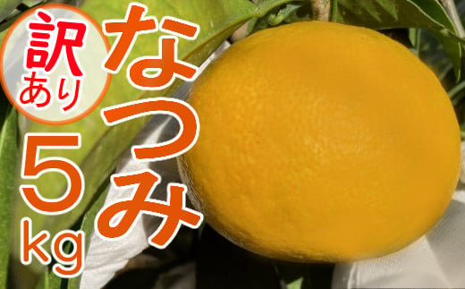【訳あり】家庭用　柑橘　産地直送　数量限定　なつみ５ｋｇ＼西山台地産