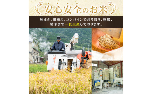 馬場産業のお米2種食べ比べセット(合計10kg)【馬場産業】baba-1126