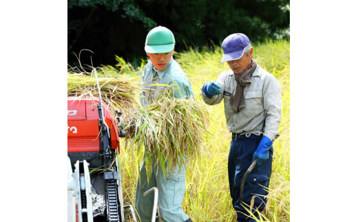 令和5年産米》【定期便】3回 新潟県奥阿賀産こしひかり 5kg（1袋