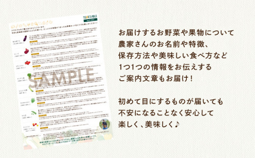 定期便 6ヵ月 宮崎市産 朝どれ 野菜 セット オリジナルレシピ付き 6 8種類 Mサイズ M5 T002 宮崎県宮崎市 ふるさと納税 ふるさとチョイス