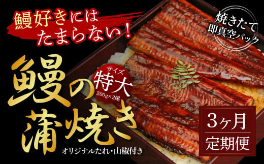  《3ヵ月定期便》”鰻好きにはたまらない”芸西村の人気鰻の蒲焼（特大）3ヵ月定期便（3回コース）