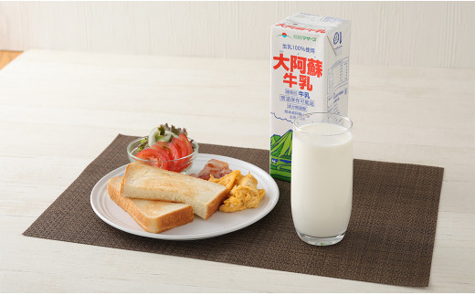 【3ヶ月定期便】 大阿蘇牛乳 1L×6本 らくのうマザーズ 新鮮 牛乳