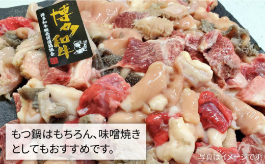 博多 和牛 もつ鍋 用 ホルモン ミックス 1kg 《糸島》 【糸島ミートデリ工房】 [ACA118]|株式会社　徳永商店（糸島ミートデリ工房）