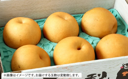 【先行予約】 熊本県産 新高梨 5kg 6玉～9玉