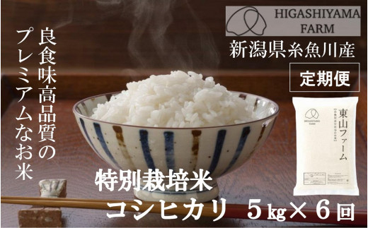 定期便６ヶ月お届け 特別栽培米 コシヒカリ 新潟県糸魚川産 ５kg ６回 良食味高品質の安全安心なプレミアムなお米 新潟県糸魚川市 ふるさと納税 ふるさとチョイス