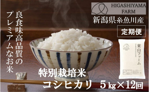 令和５年産新米予約【定期便12ヶ月お届け】特別栽培米「コシヒカリ