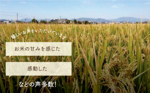 特別栽培米『さがびより』を使用！