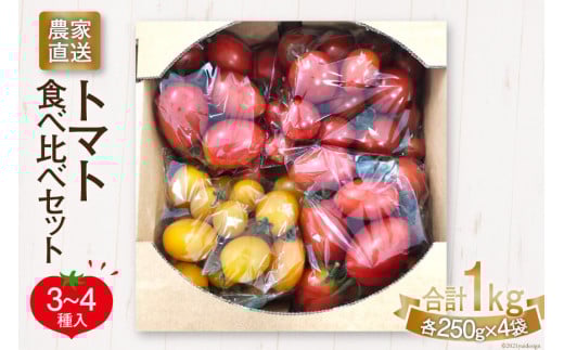 【先行受付】新鮮 採れたて トマト 食べ比べセット 1kg（250g×4袋） [ マルヨシ園芸 山梨県 中央市 21470547 ] とまと 野菜 食べ比べ 1キロ 季節限定 数量限定【2026年1月上旬-5月下旬発送予定】