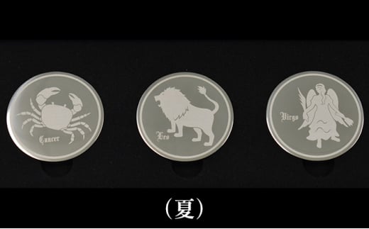 [№5695-1233]コイン型のアイスキューブ（夏） 290890 - 静岡県島田市