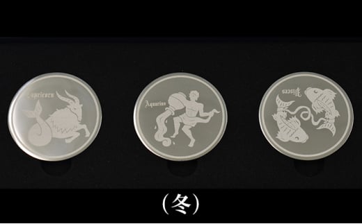 [№5695-1235]コイン型のアイスキューブ（冬） 290892 - 静岡県島田市