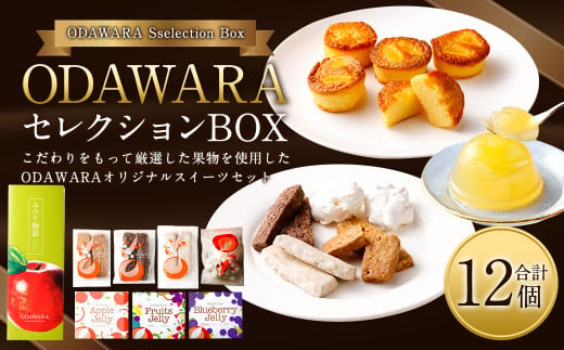 ODAWARAセレクションBOX ゼリー×3 ケーキ×5 焼き菓子 4種 399551 - 青森県八戸市