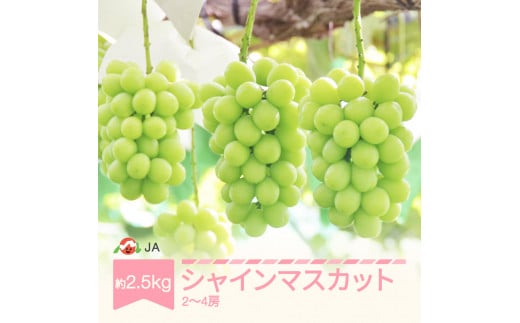 ぶどう ブドウ シャインマスカット 令和6年産 2024年産 約2.5kg 2〜4房 果物 ja-busmx25