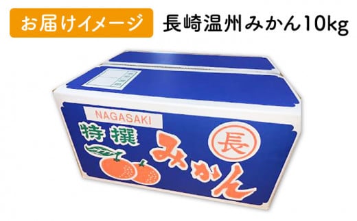 訳あり】晩生完熟みかん10Kg (ご自宅用) 長崎市/大将農園 [LCS016]-