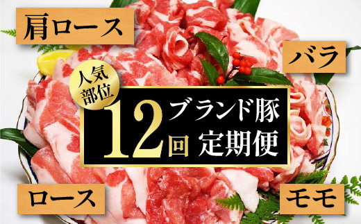 【毎月お届け便】ブランド豚★得特盛り★1.2㎏×12回　Rqsn-03 国産 ぶた肉 豚肉 肉 お肉 国産豚肉 国産ぶた肉 大量 287992 - 高知県四万十町
