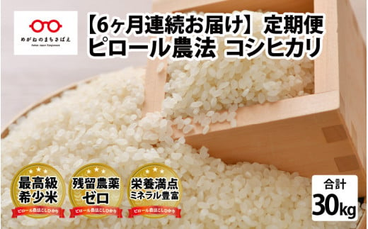 【6ヶ月連続お届け】 ピロール農法 コシヒカリ 5kg（5kg × 1袋）× 6回 計30kg 真空パック [I-08201] 380107 - 福井県鯖江市