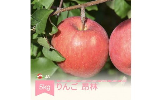 りんご 昂林 5kg 秀 2024年産 令和6年産 ja-rikrx5 660842 - 山形県村山市