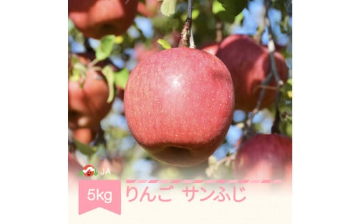 りんご サンふじ 5kg 秀 2024年産 令和6年産 ja-risfx5