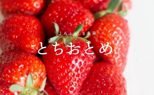 No.1870 いちご　福島とちおとめ4パック【2025年発送】 291002 - 福島県福島市