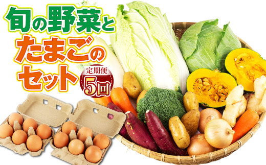 【定期便5回】 旬の野菜とたまごのセット