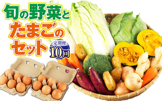 【定期便10回】旬の野菜とたまごのセット【メロンドーム】セット 詰め合せ