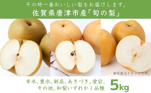 幸水梨 豊水梨 新高梨 秋月梨 愛宕梨 その他の梨
いずれか1品種。お届け時期や品種が変わります。