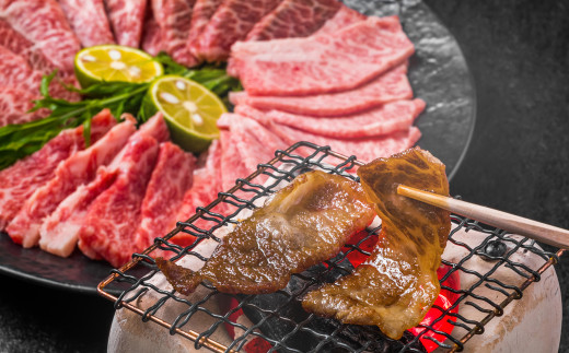 博多和牛 焼肉用 500g 肉 牛肉 バラ ロース モモ 福岡 太宰府