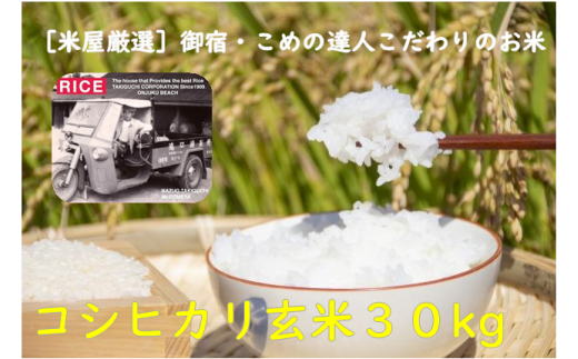 D405 コメアミーゴこだわりのいすみ米コシヒカリ３０ｋｇ（玄米）
