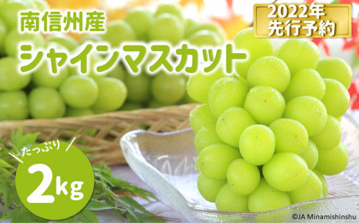 JA11-22A 再入荷！ぶどう シャインマスカット2kg 秀／2022年9月中旬～10月中旬ごろ配送