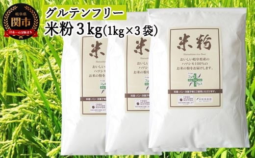 G10-16 米粉3kg（1kg×3袋） ～岐阜県産ハツシモ米100％～ M7  916734 - 岐阜県関市