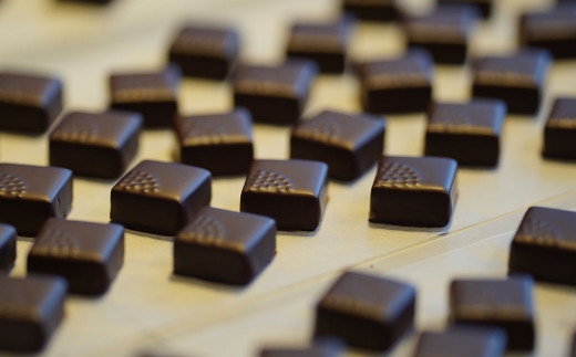 6ヵ月 定期便】チョコレート専門店のオリジナルボンボンショコラセット 
