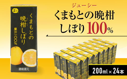 ジューシー くまもとの晩柑しぼり100％ ジュース 200ml×24本 799265 - 熊本県熊本市