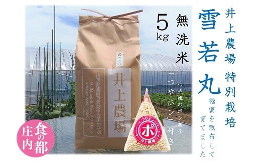 食の都庄内　井上農場の【無洗米（精米）】特別栽培米雪若丸5kgつやポン付