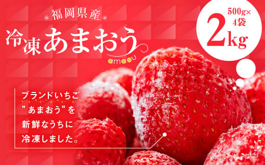 福岡県産 冷凍 あまおう 合計2kg (500g×4袋) いちご 苺 フルーツ 286218 - 福岡県嘉麻市