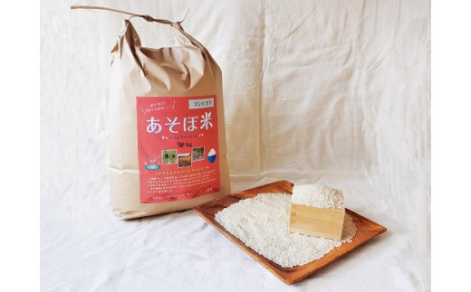 【令和5年産】あそぼ米（こしひかり） 10ｋｇ 白米 お米 減農薬栽培 熊野市 334042 - 三重県熊野市