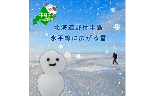 北海道野付半島 氷平線に広がる 雪 北海道別海町 ふるさと納税 ふるさとチョイス