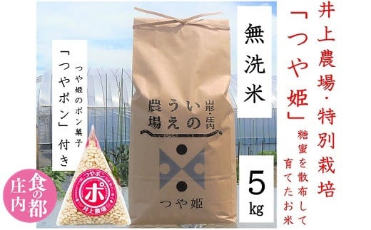 食の都庄内 [令和5年産・無洗米(精米)]特別栽培米つや姫5kg つやポン付[井上農場]