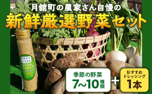 月舘町の農家さん自慢の新鮮厳選野菜セット F20C-517 292705 - 福島県伊達市
