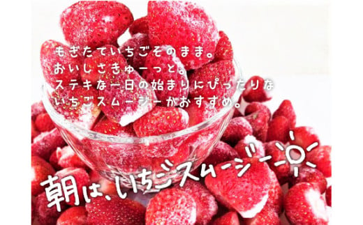 ファームうかわの冷凍いちご1kg　B010 261138 - 北海道栗山町