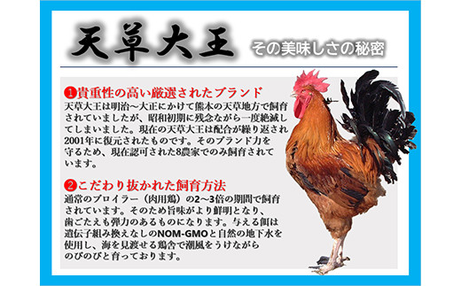 Fkp9 337 天草大王 地鶏鍋セット 2 3人前 熊本県球磨村 ふるさと納税 ふるさとチョイス